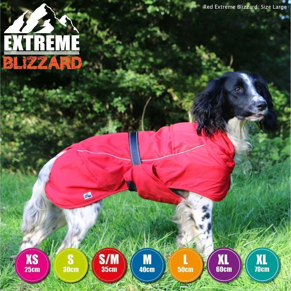 Ancol Extreme 35cm Red Blizzard Dog Coat - Small/Medium