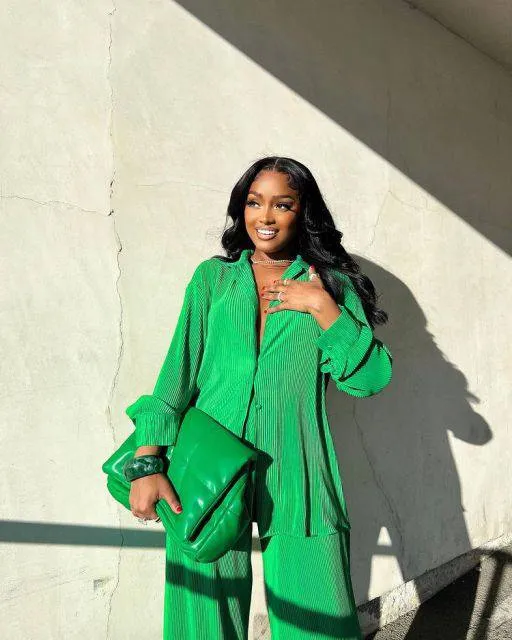 Solid Rushed Turn-down Collar Blouse Long Pants Casual outfits